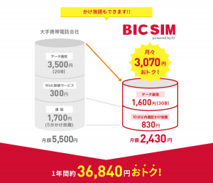 BIC SIMの格安SIM説明画像